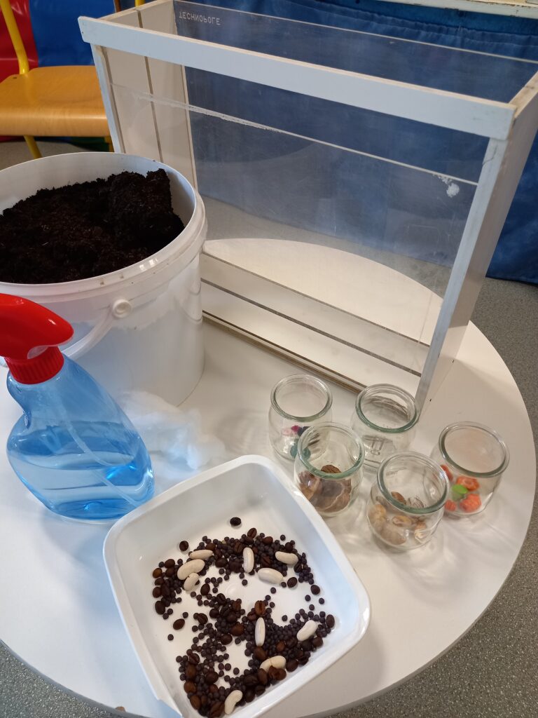 Plantations chez les PS MS